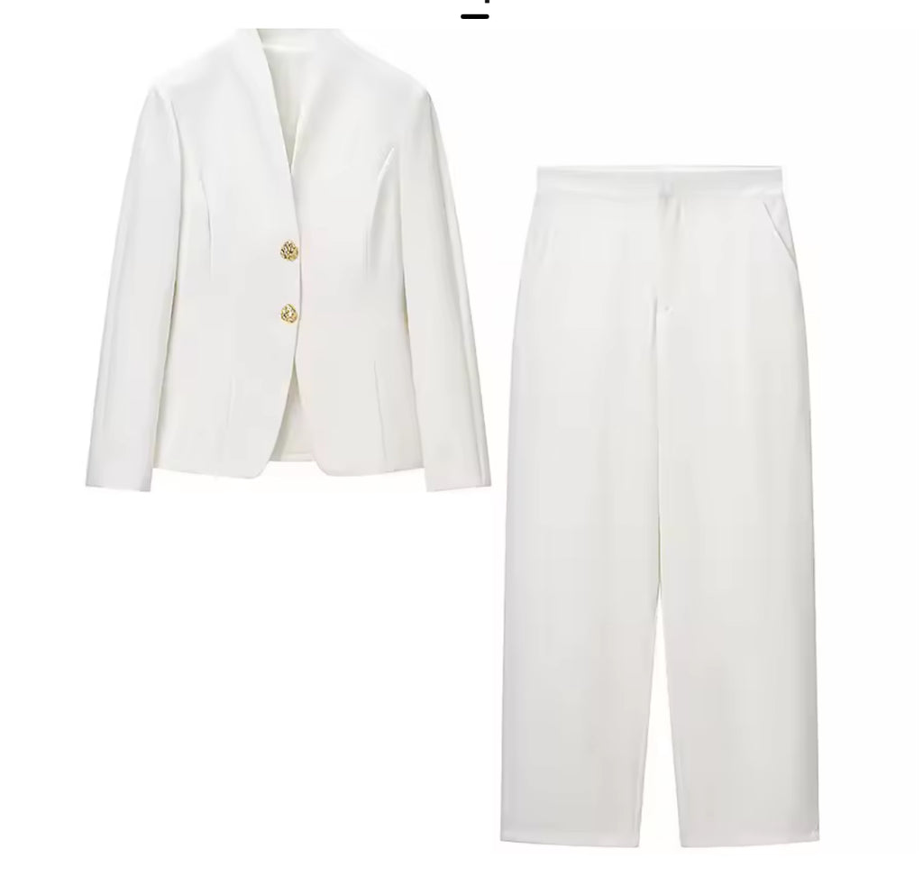 NEW $195 Finka Structured Pant Suit Set