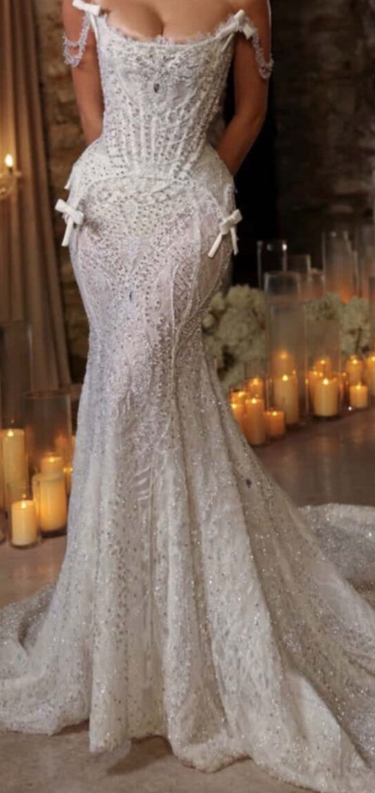 NEW $5785 Celes Vera Crystal Corset Couture Gown